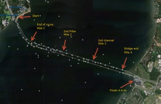 chesapeake-bay-swim-distances