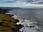 Evening-light-along-coast-with-bird-flying